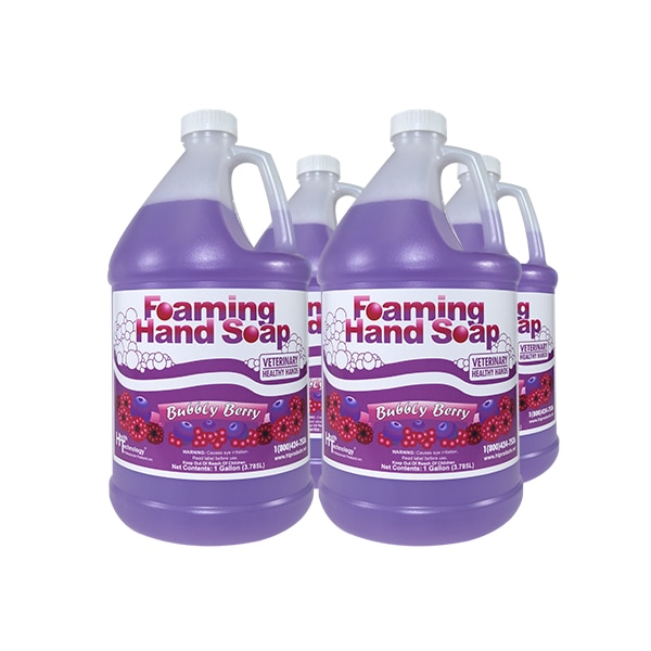 Veterinary Healthy Hands Bubbly Berry 4/1 Gallon Case