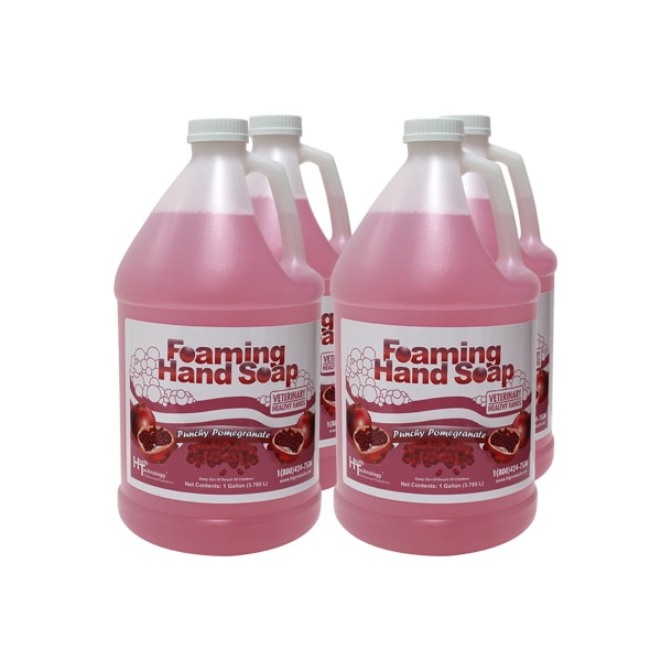 Veterinary Healthy Hands Punchy Pomegranate 4/1 Gallon Case