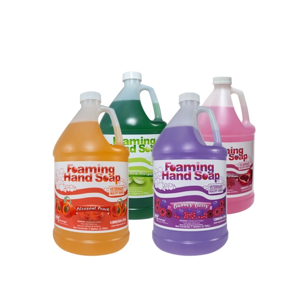 Veterinary Healthy Hands Foaming Hand Soaps Mixed Case of 4 Gallons