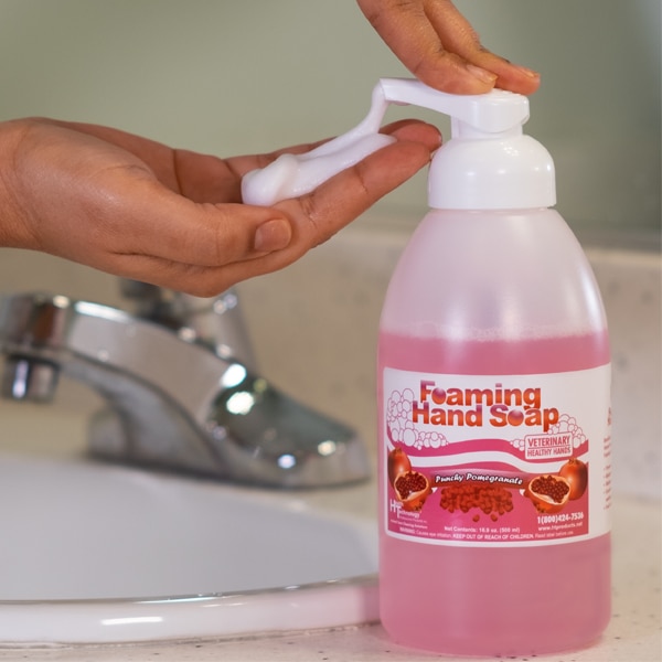 Veterinary Healthy Hands Punchy Pomegranate 16oz Pump Each