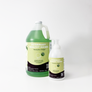 Veterinary Healthy Hands Soap Honeydew Delight